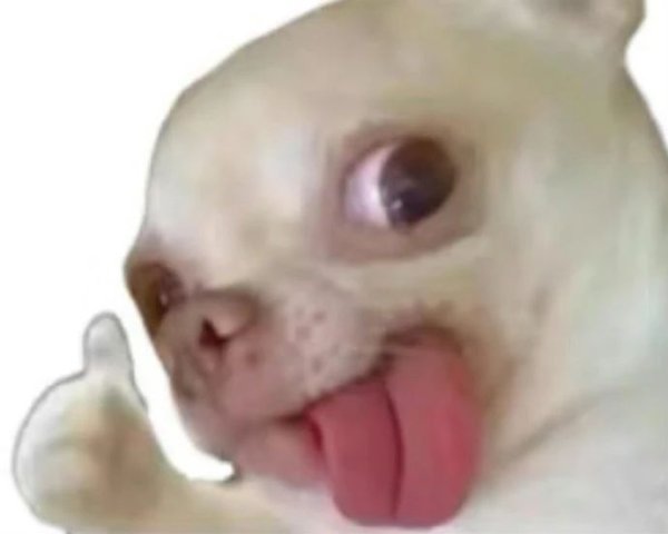 粤有钱 白羊 狮子 射手就是
